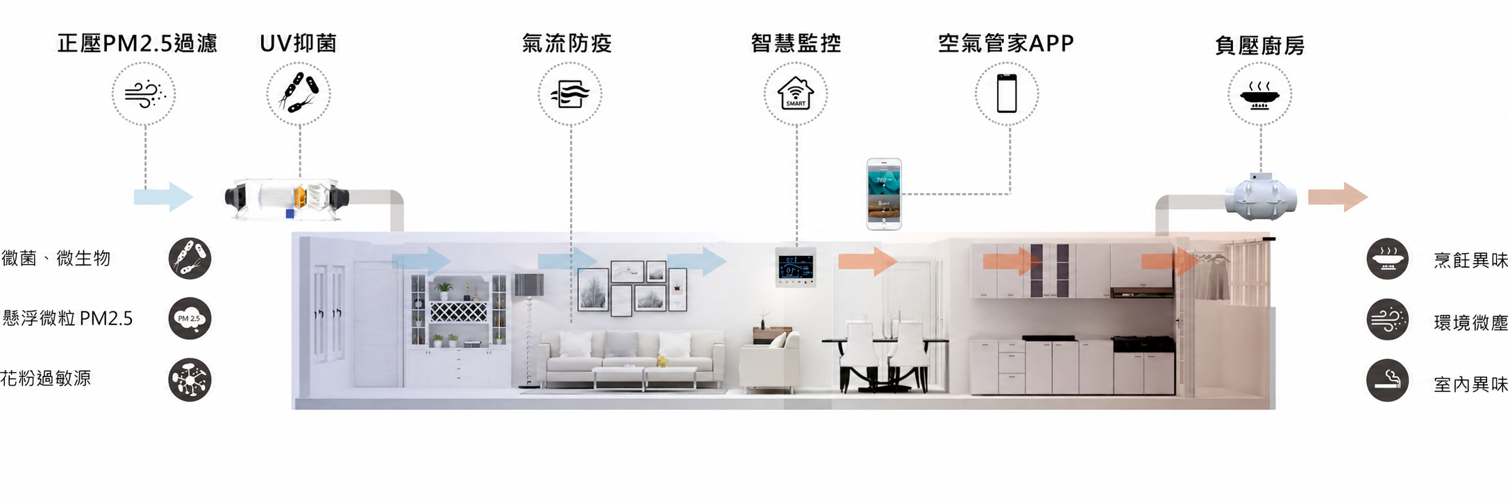 淨流系統